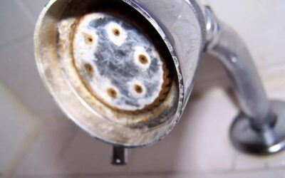 How Do Shower Water Contaminants Affect Our Health and Our Homes?