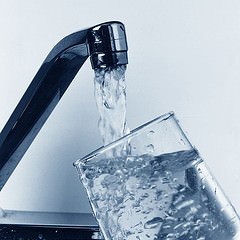 How Does Cooking with Unfiltered Tap Water Affect Your Food