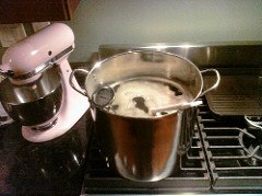 how does water quality affect the home brewing process