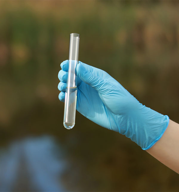 Examination of Water Quality