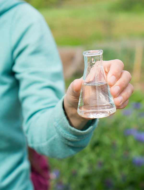 Water Purity Test